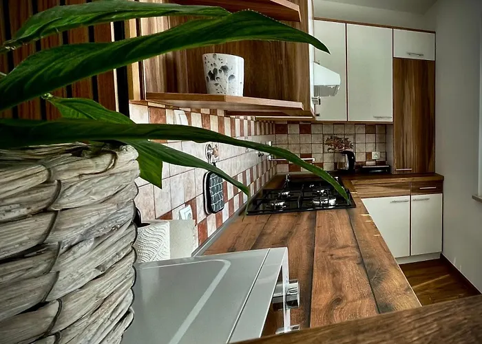 Relax ポルトローシュ